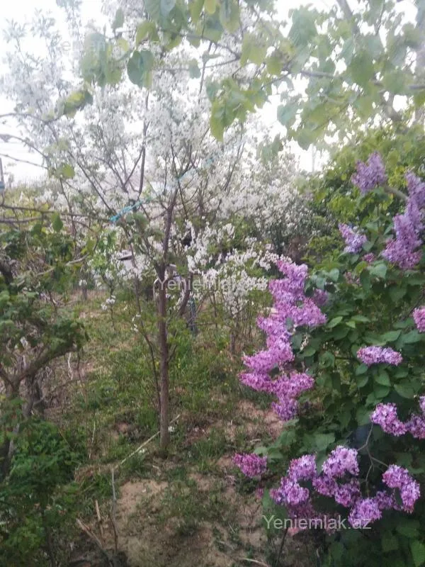 Satılır 6 otaqlı həyət evi 200 m²