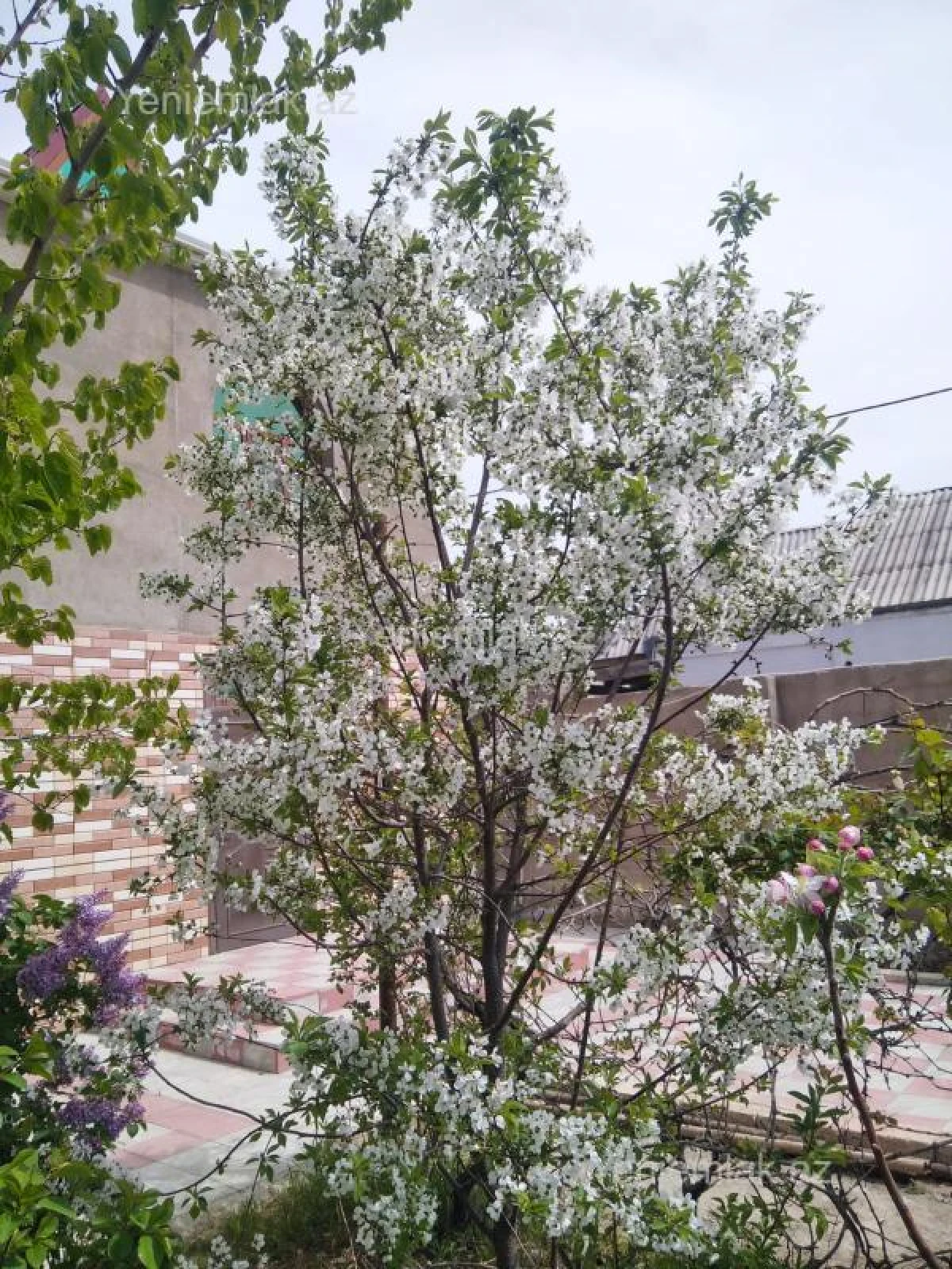 Satılır 6 otaqlı həyət evi 200 m²