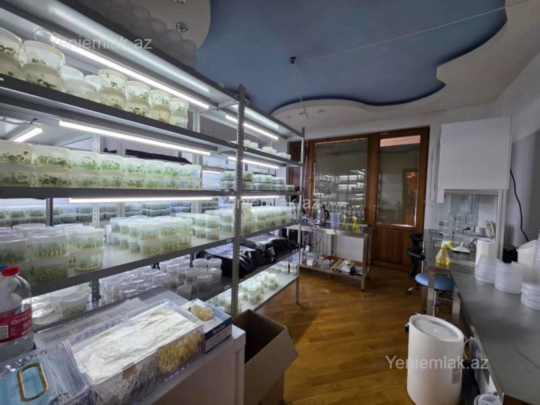 Satılır 7 otaqlı yeni tikili 350 m²