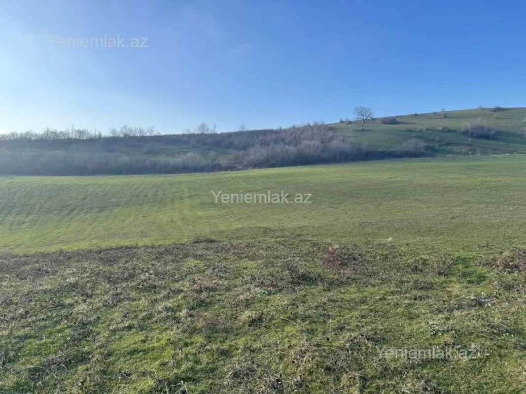 Satılır torpaq sahəsi