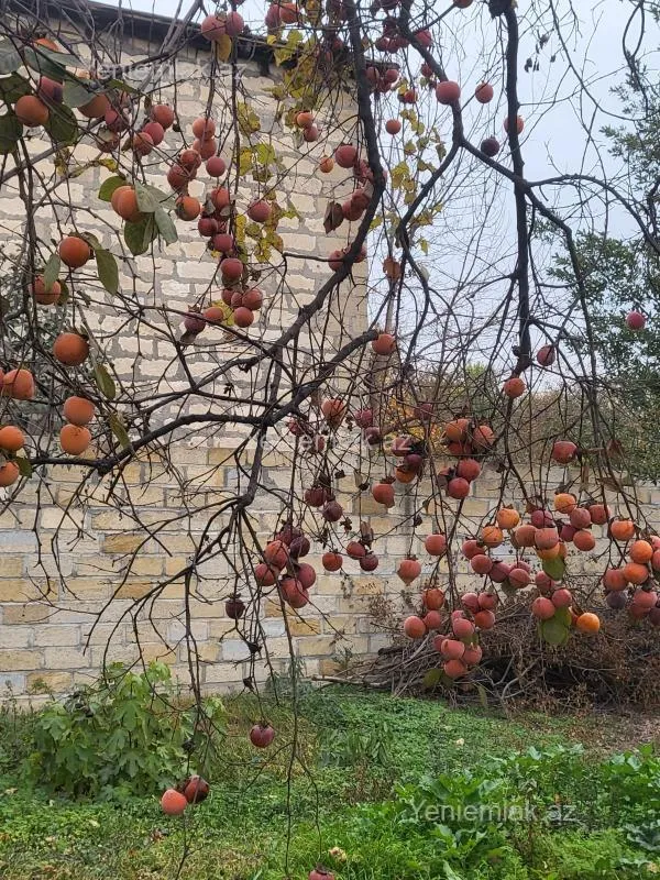 Satılır 4 otaqlı həyət evi 78 m²