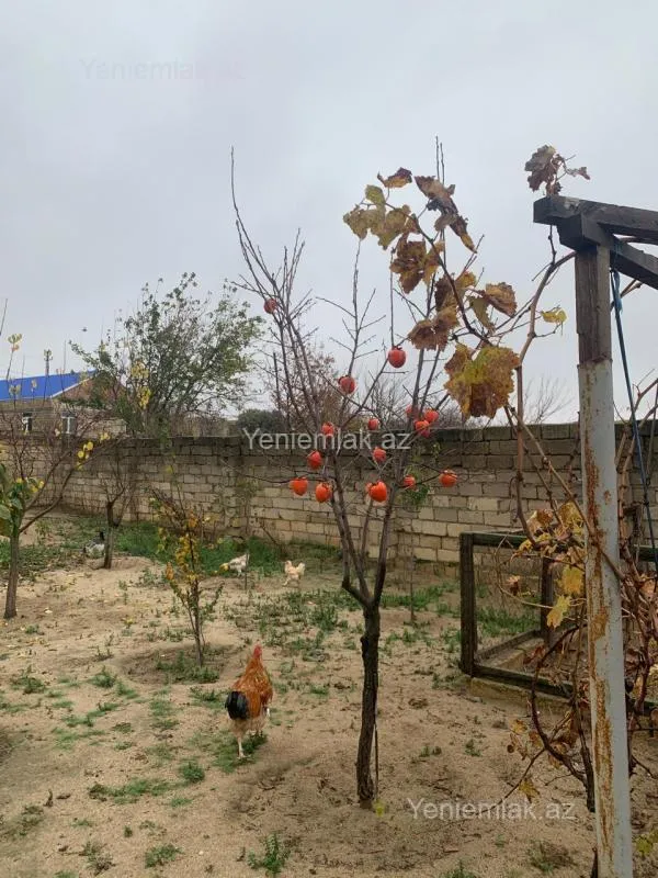 Satılır 3 otaqlı həyət evi 90 m²