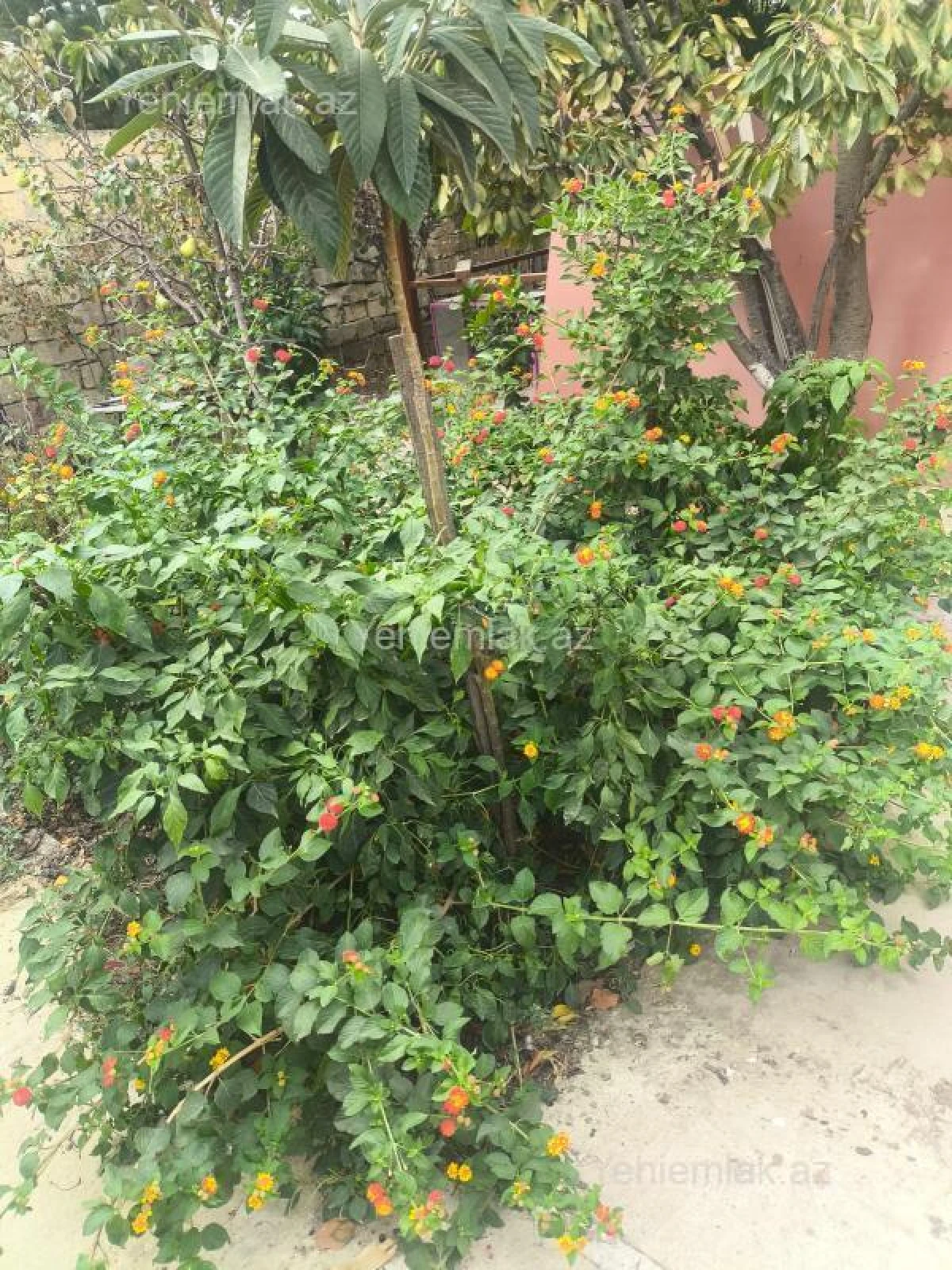 Satılır 6 otaqlı həyət evi 225 m²