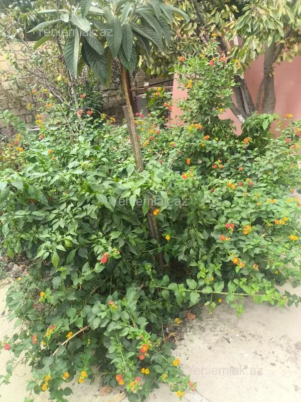 Satılır 6 otaqlı həyət evi 225 m²