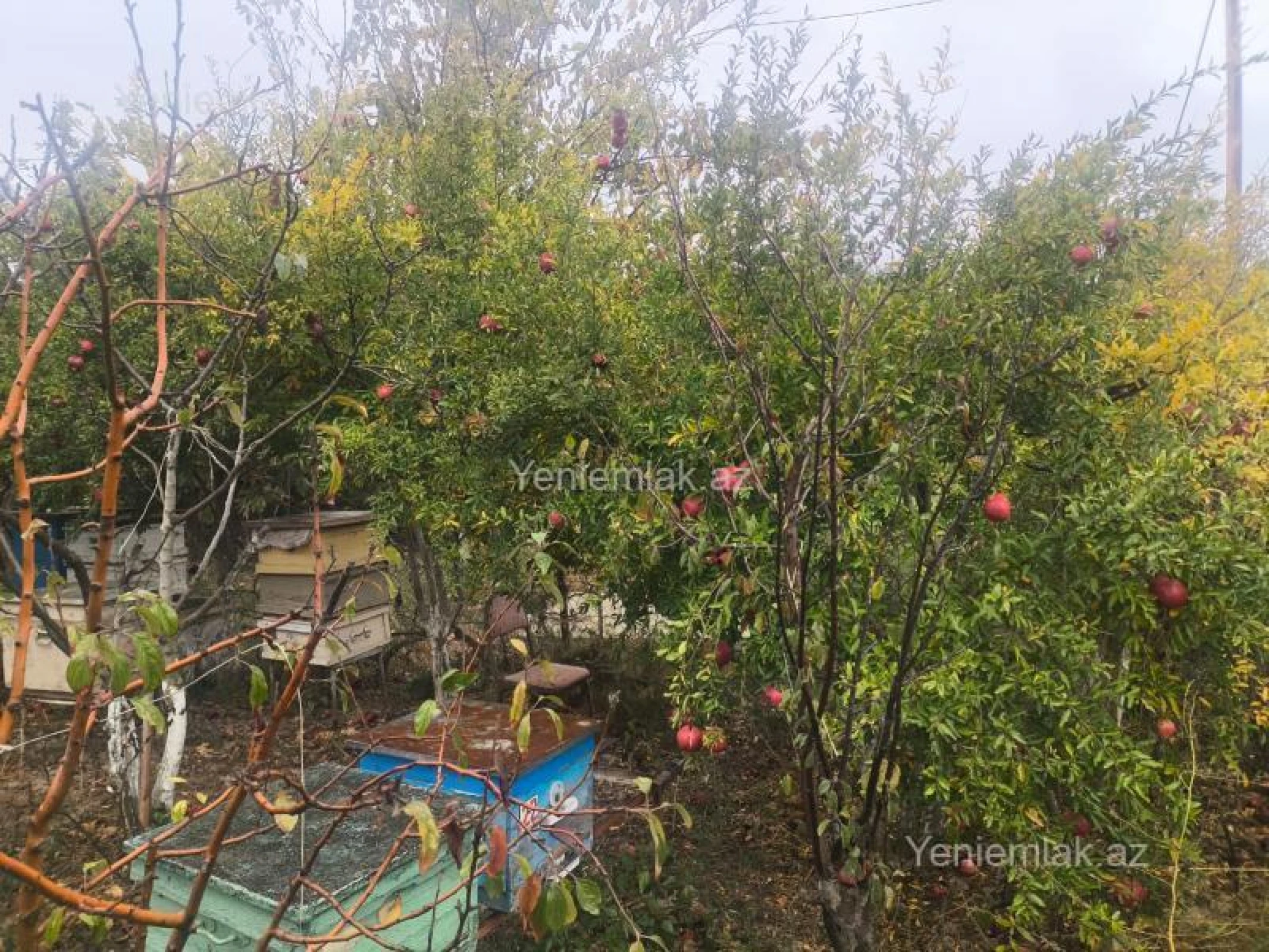 Satılır 6 otaqlı həyət evi 225 m²