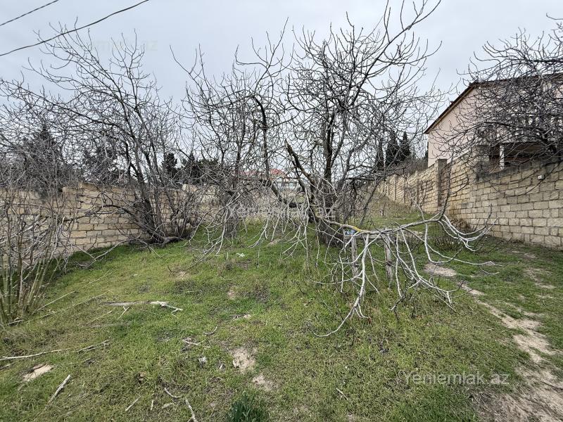 Satılır torpaq sahəsi — Abşeron, Novxanı