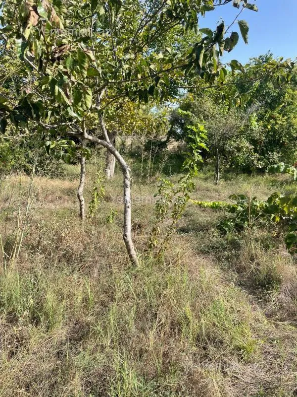 Satılır 3 otaqlı həyət evi 90 m²