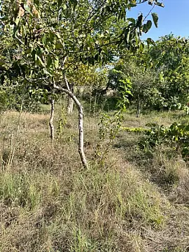 Satılır 3 otaqlı həyət evi 90 m²