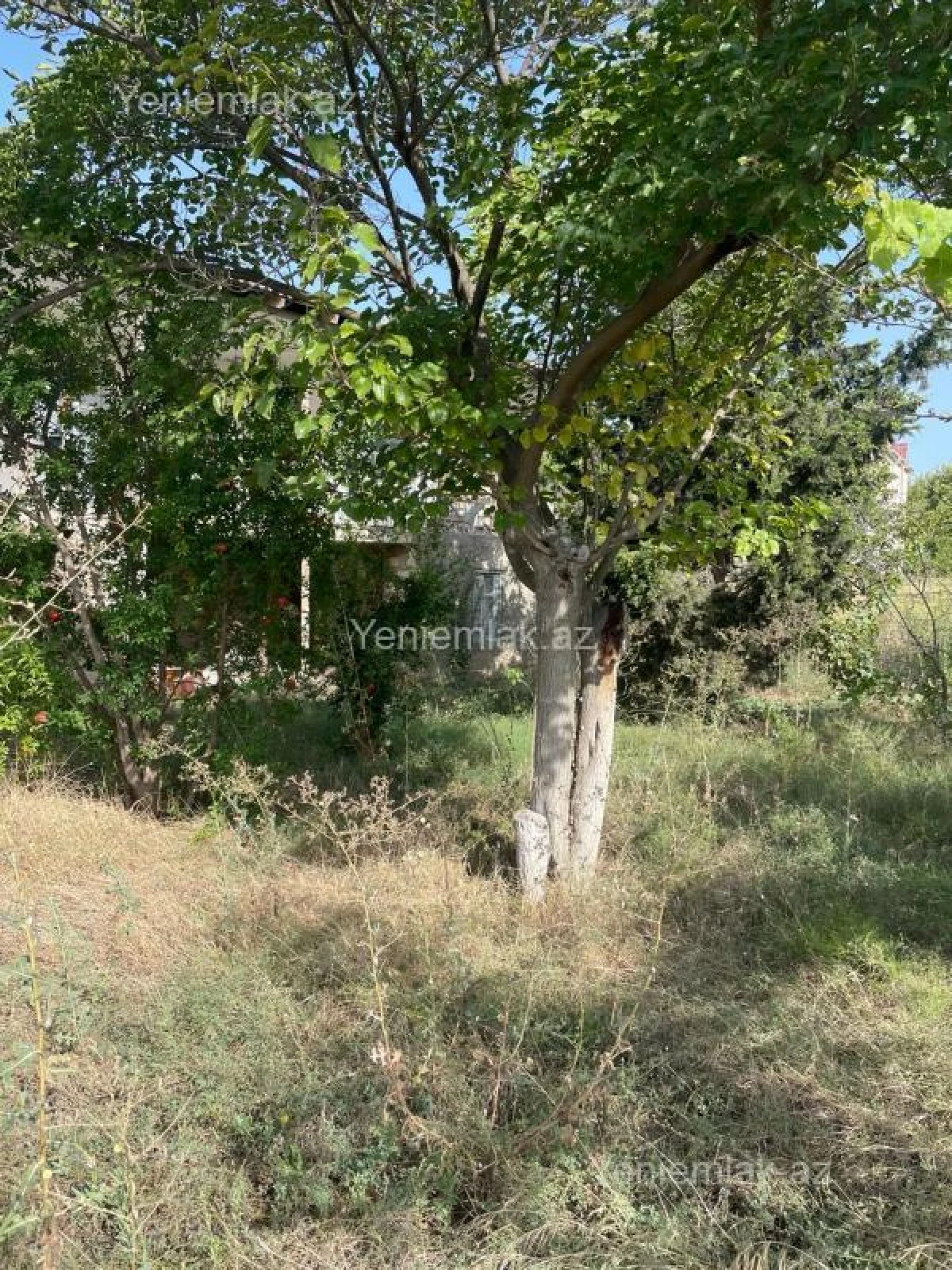 Satılır 3 otaqlı həyət evi 90 m²