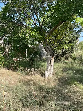 Satılır 3 otaqlı həyət evi 90 m²