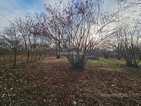 Satılır torpaq sahəsi — Qəbələ