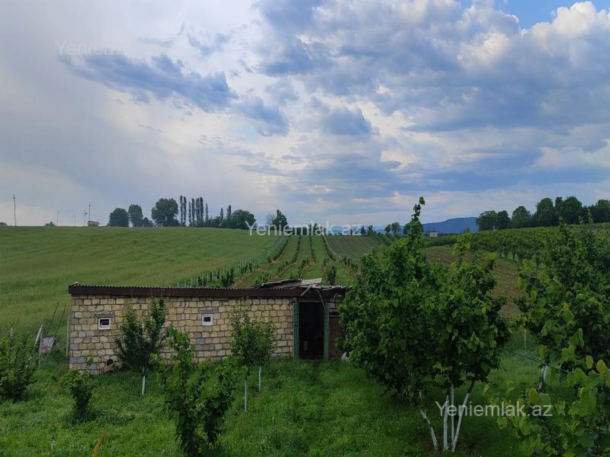 Satılır 3 otaqlı həyət evi 50 m²