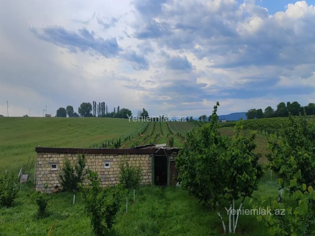 Satılır 3 otaqlı həyət evi 50 m²