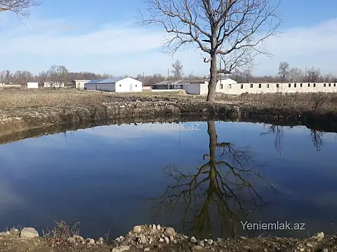 Satılır 10 otaqlı obyekt 4200 m²