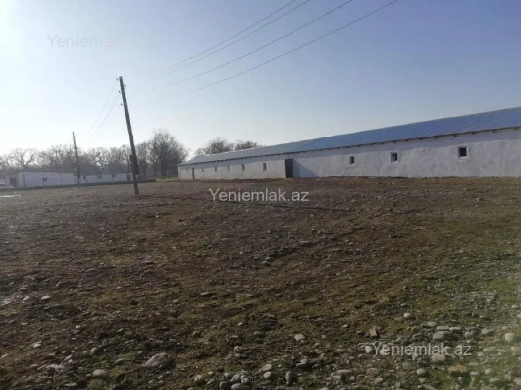 Satılır 10 otaqlı obyekt 4200 m²