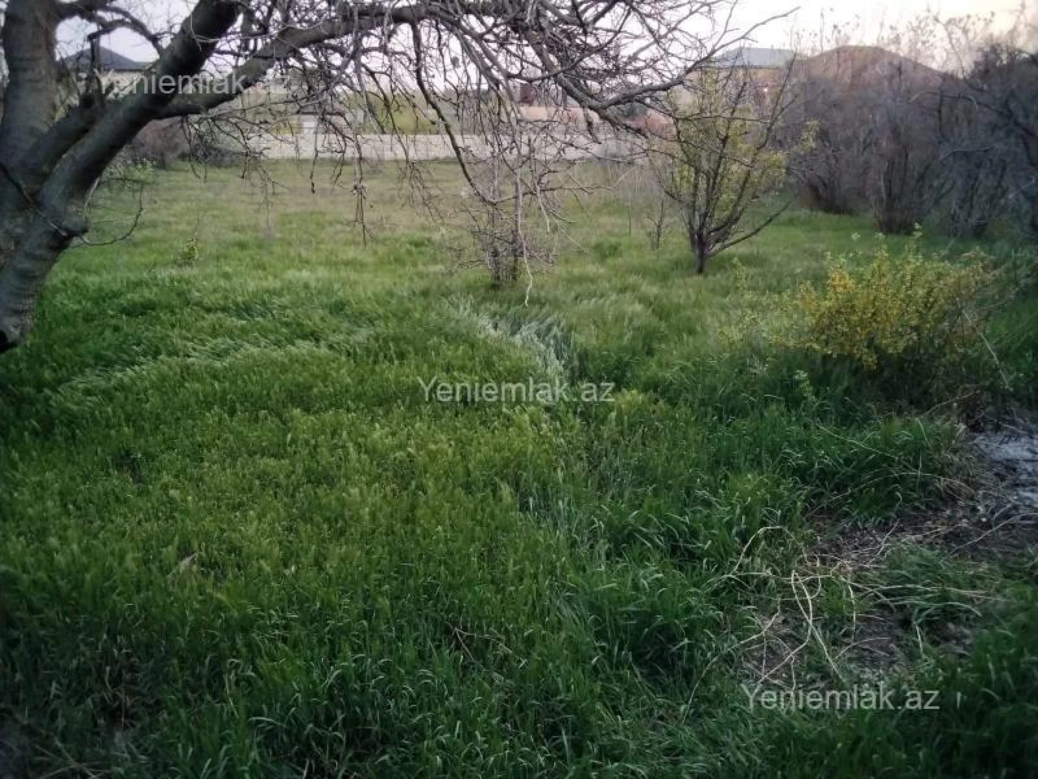 Satılır 3 otaqlı həyət evi 60 m²