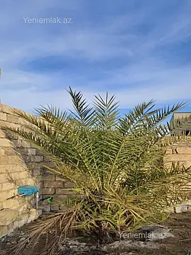 Satılır torpaq sahəsi — Sumqayıt, Novxanı