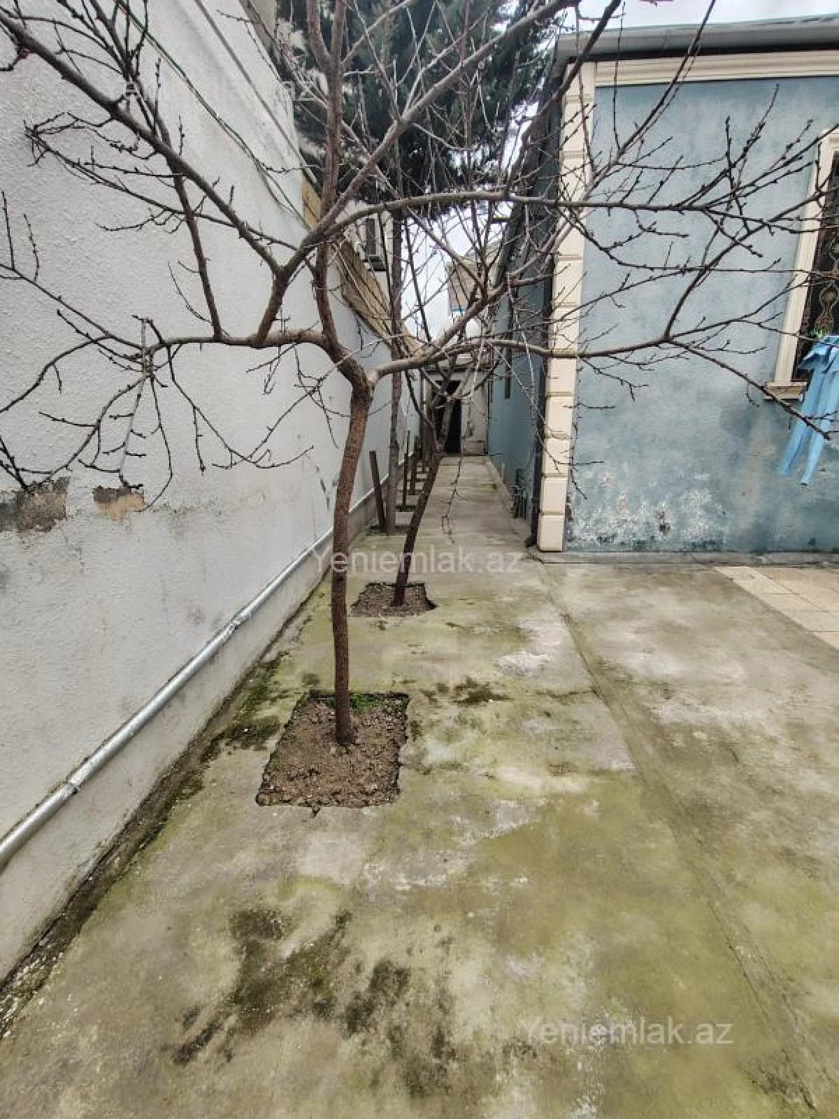 Satılır 1 otaqlı həyət evi 120 m²
