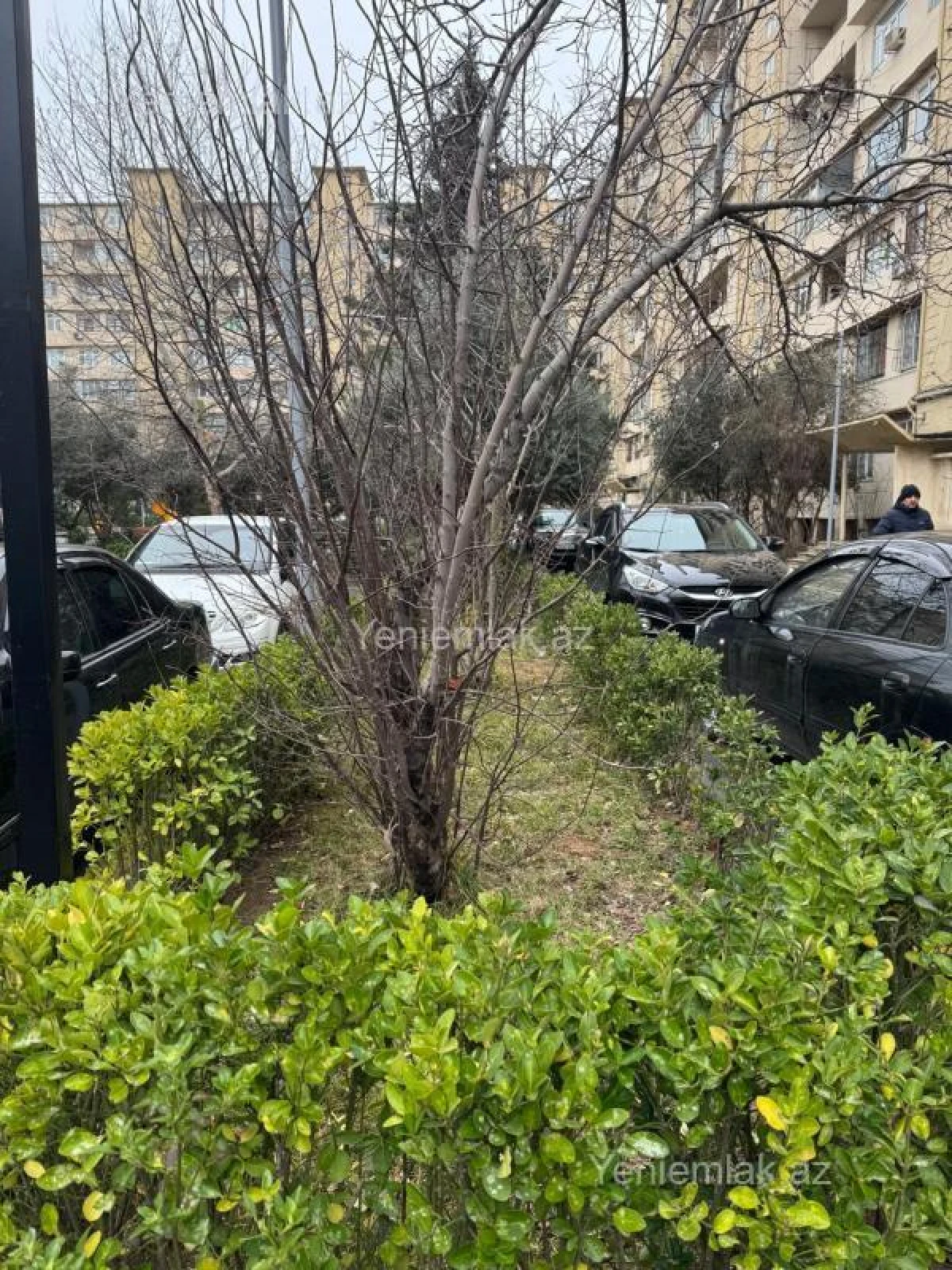 Satılır 5 otaqlı köhnə tikili 110 m²