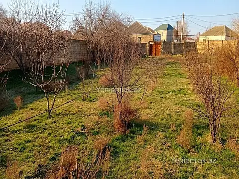 Satılır torpaq sahəsi — Abşeron, Saray