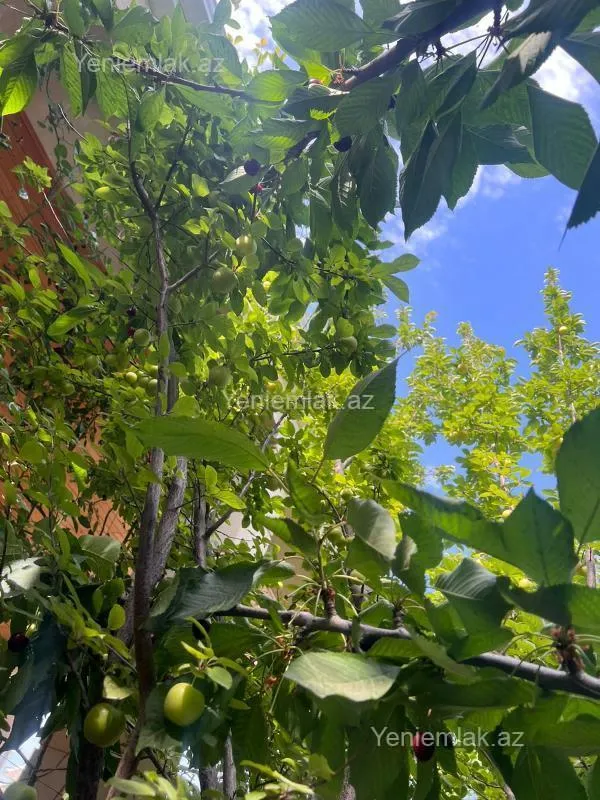 Satılır 9 otaqlı həyət evi 300 m²