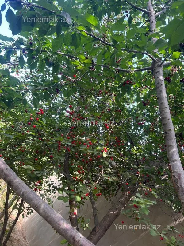 Satılır 9 otaqlı həyət evi 300 m²