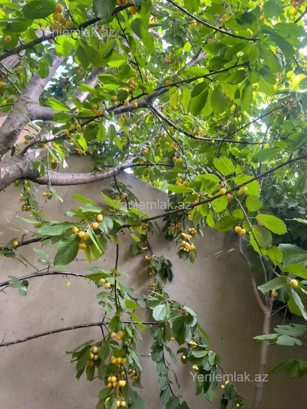 Satılır 9 otaqlı həyət evi 300 m²
