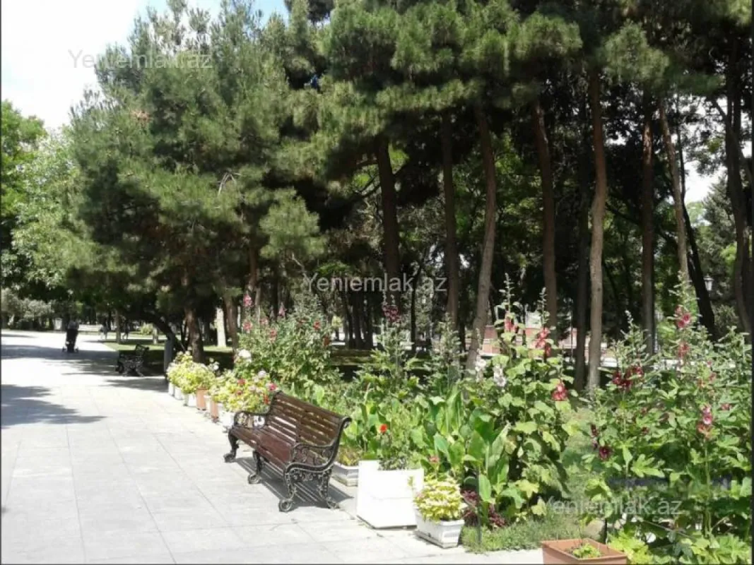 Satılır 2 otaqlı köhnə tikili 65.5 m²