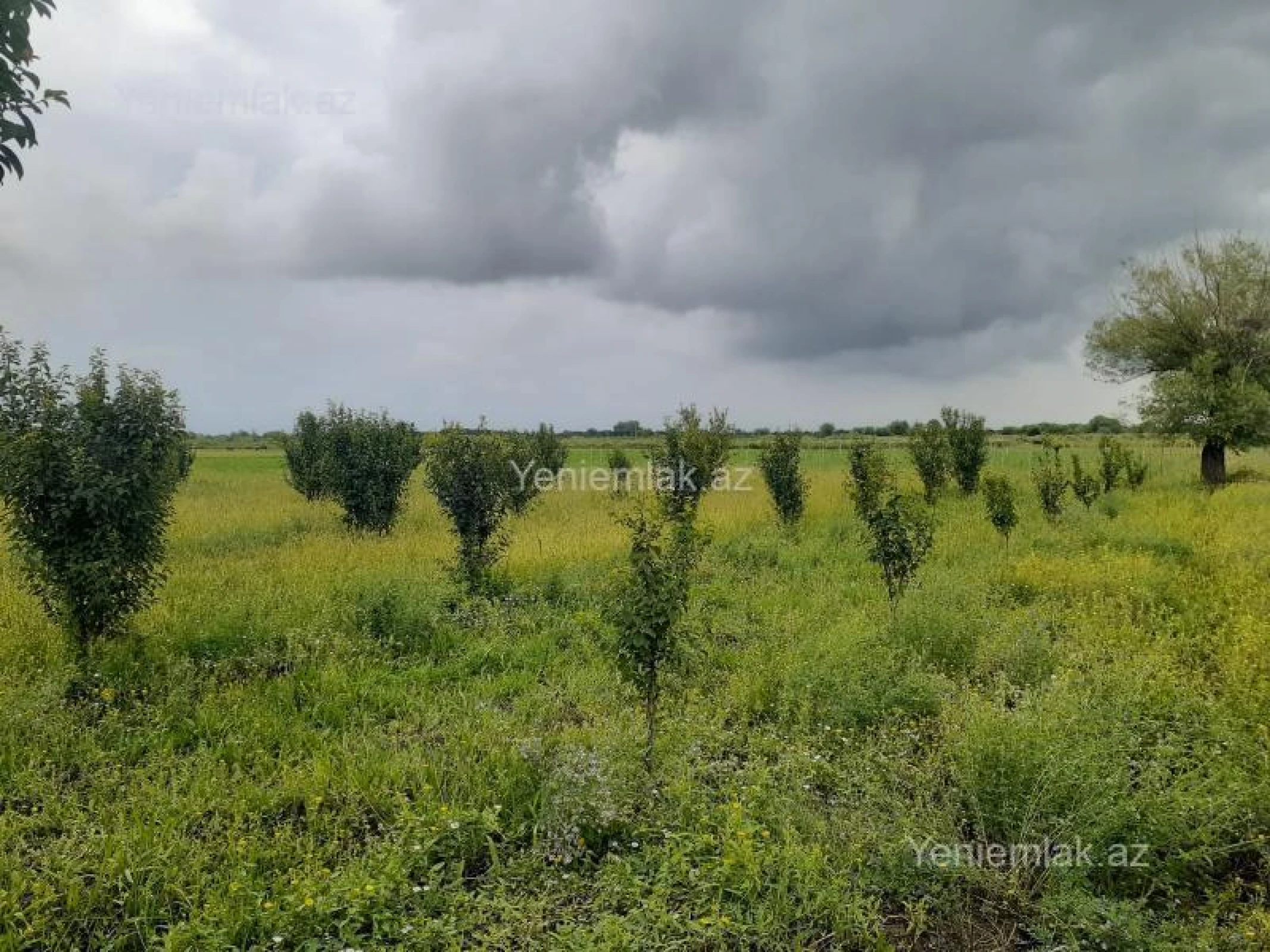 Satılır torpaq sahəsi