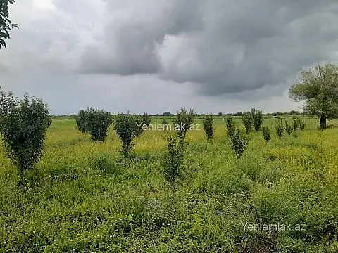 Satılır torpaq sahəsi