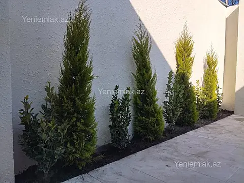 Satılır 3 otaqlı həyət evi 85 m²