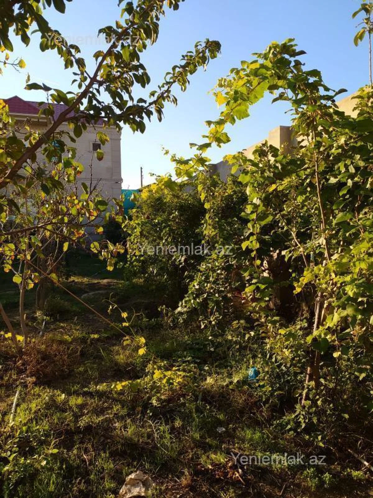 Satılır 6 otaqlı həyət evi 250 m²