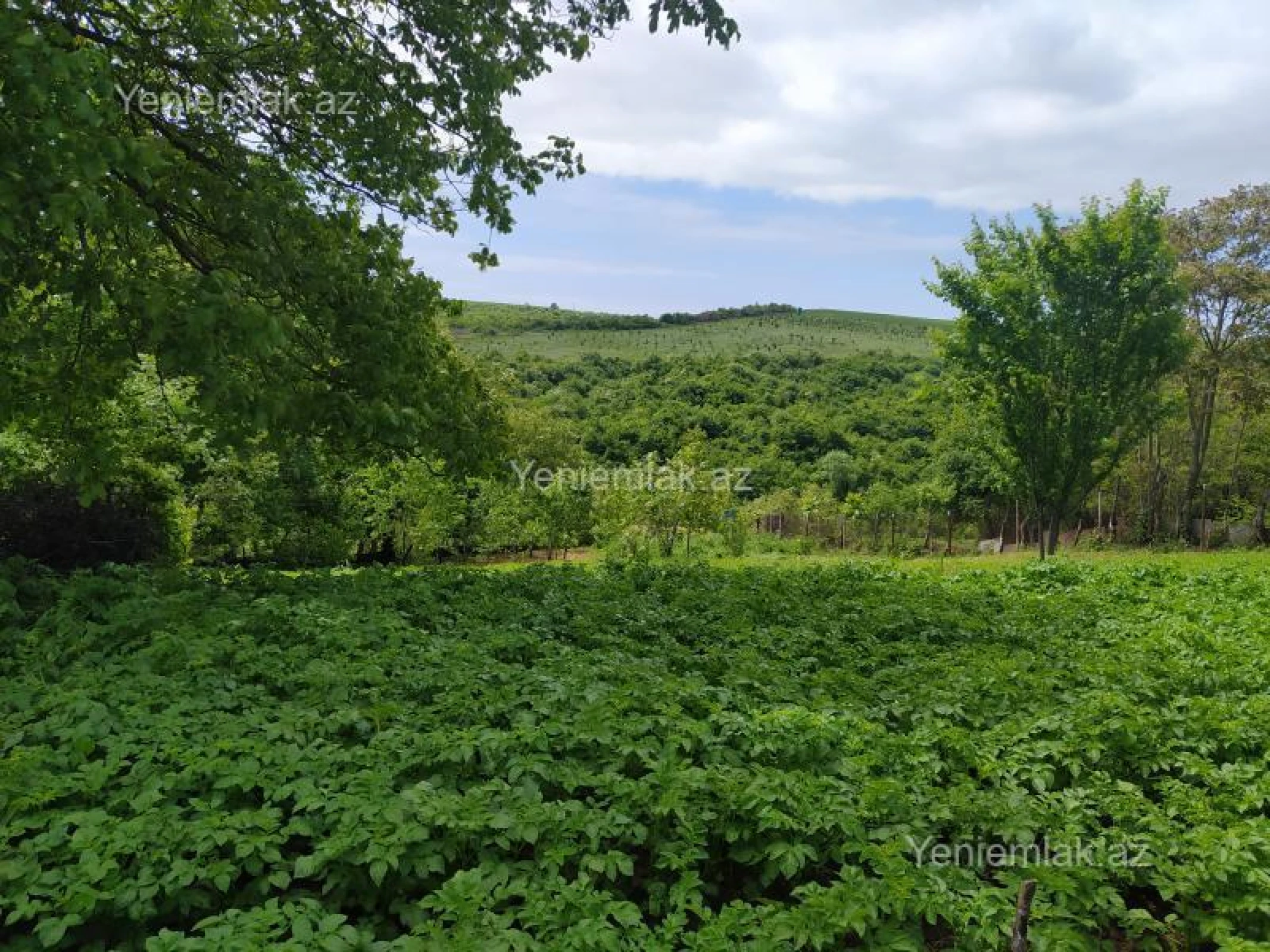Satılır torpaq sahəsi
