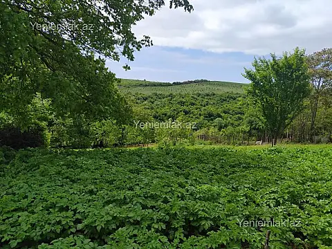 Satılır torpaq sahəsi — İsmayıllı