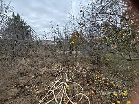 Satılır torpaq sahəsi