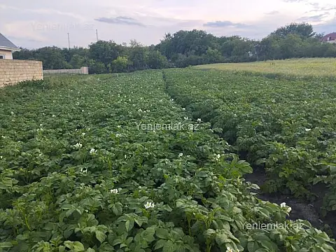 Satılır 2 otaqlı həyət evi 100 m²