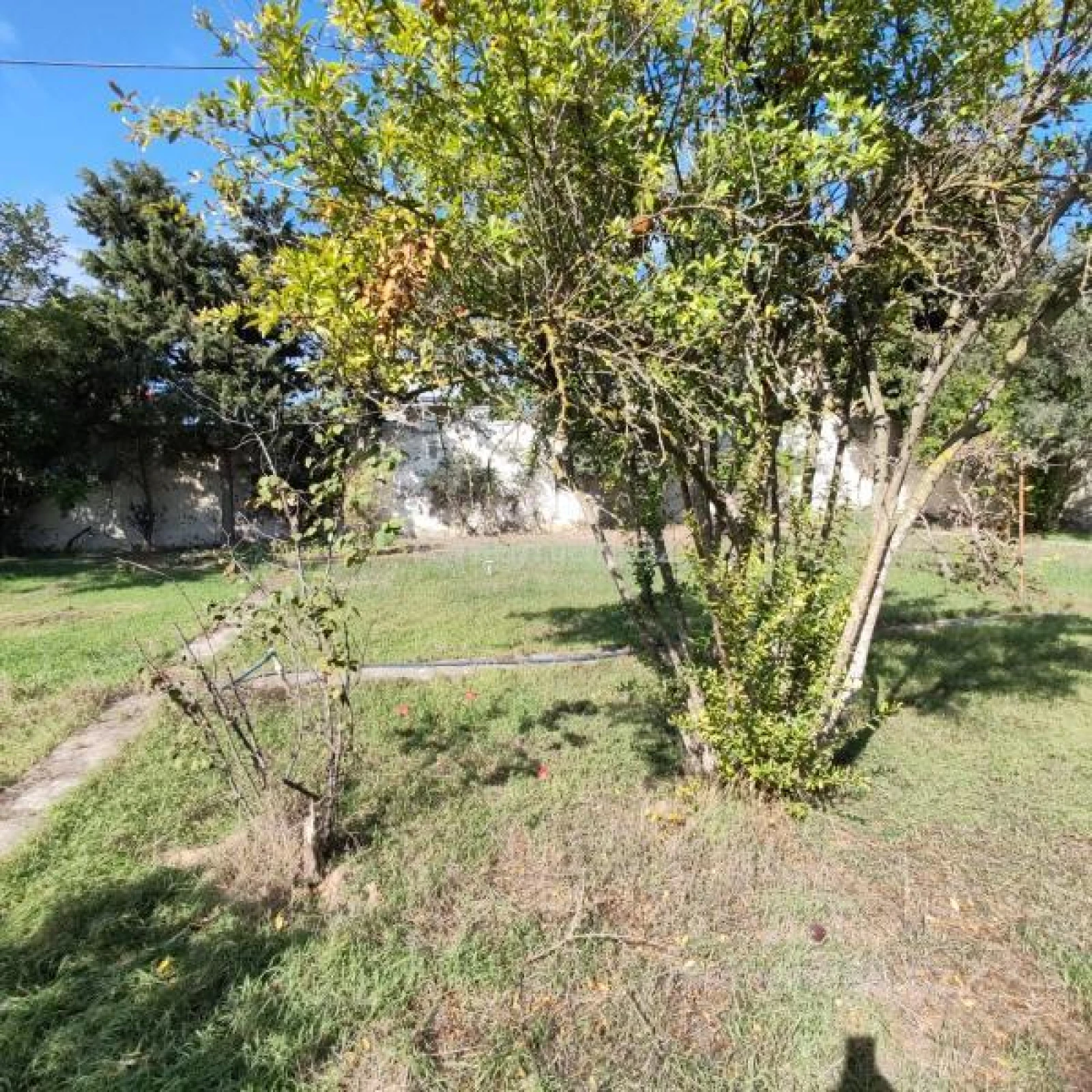 Satılır 8 otaqlı həyət evi 380 m²