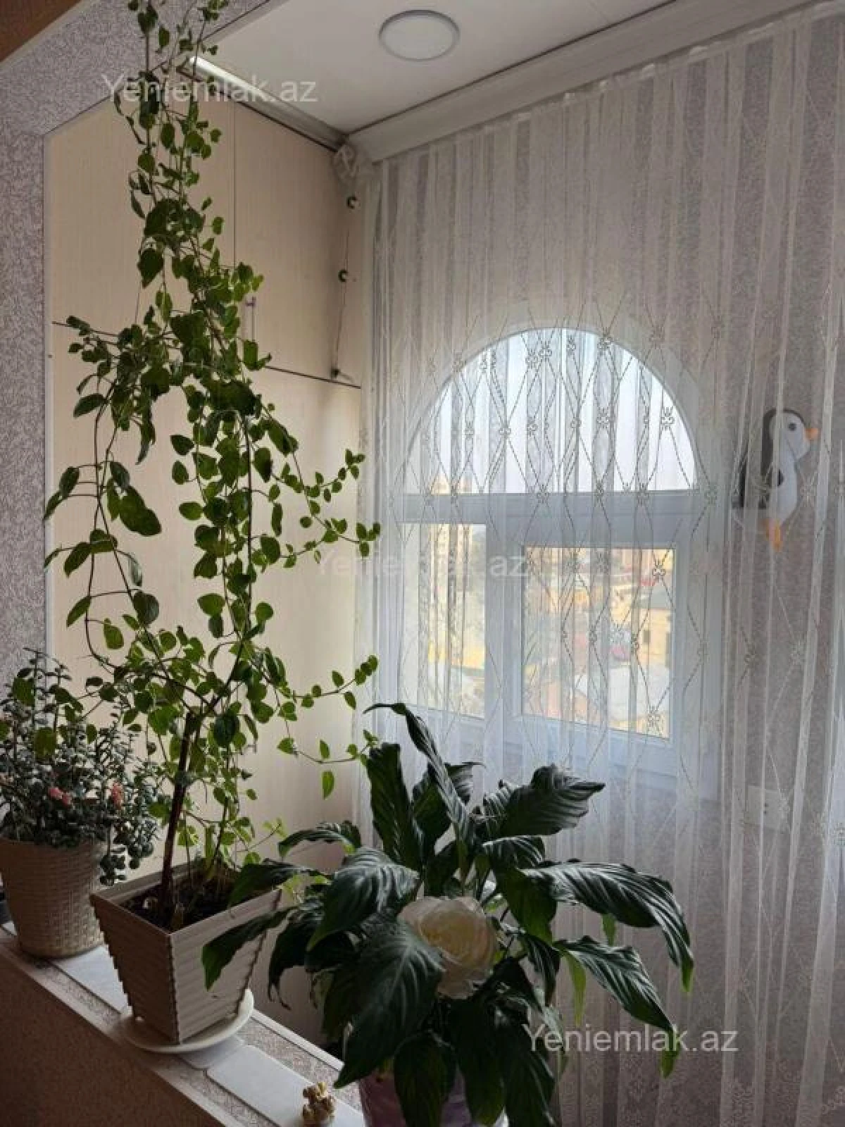 Satılır 3 otaqlı köhnə tikili 70 m²