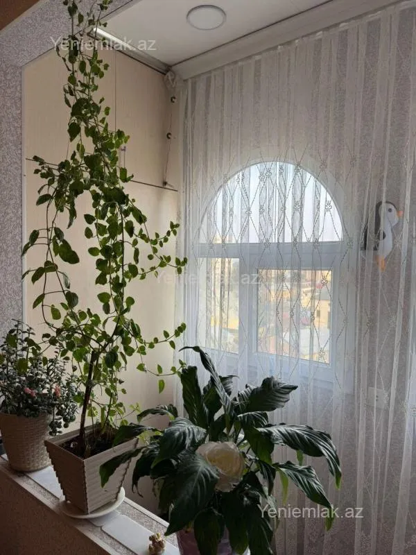 Satılır 3 otaqlı köhnə tikili 70 m²