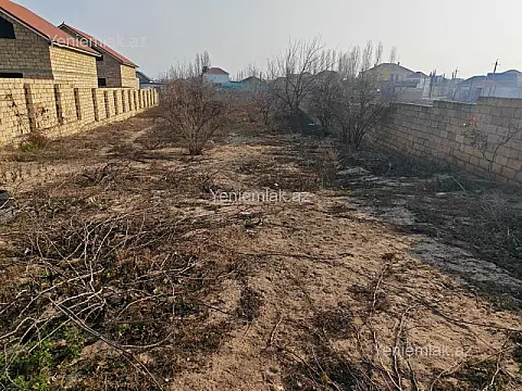 Satılır torpaq sahəsi — Abşeron, Novxanı