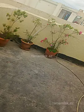 Satılır 2 otaqlı yeni tikili 40 m²