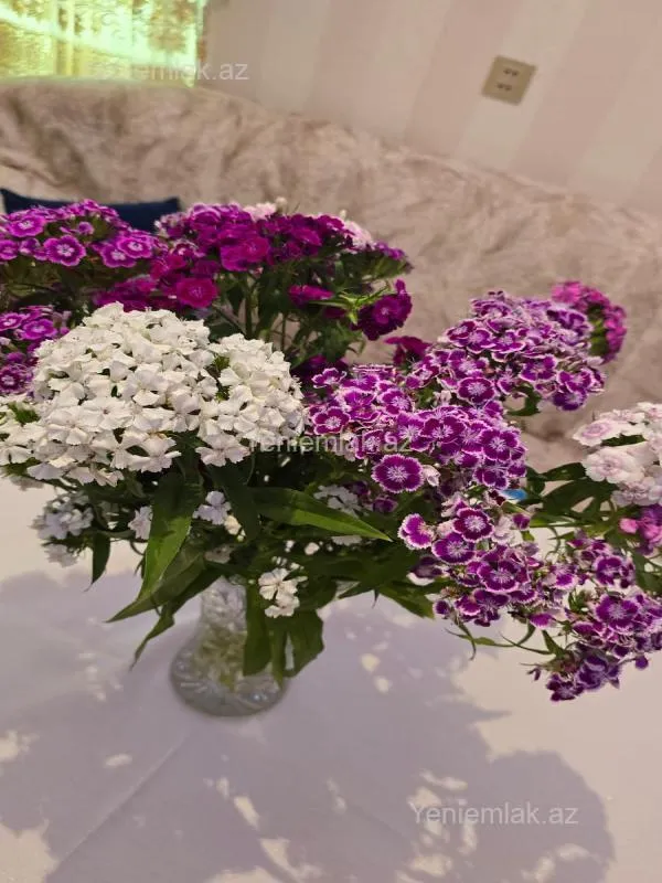 Satılır 4 otaqlı həyət evi 100 m²