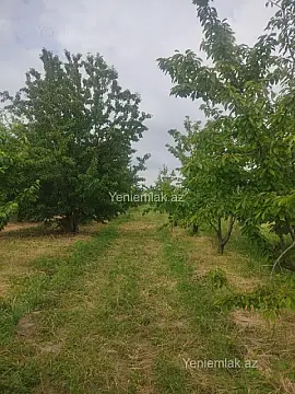 Satılır torpaq sahəsi — Quba