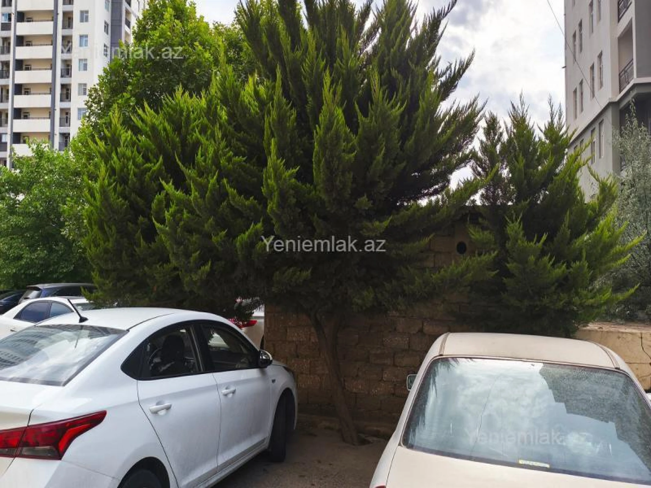Satılır 3 otaqlı yeni tikili 131.5 m²