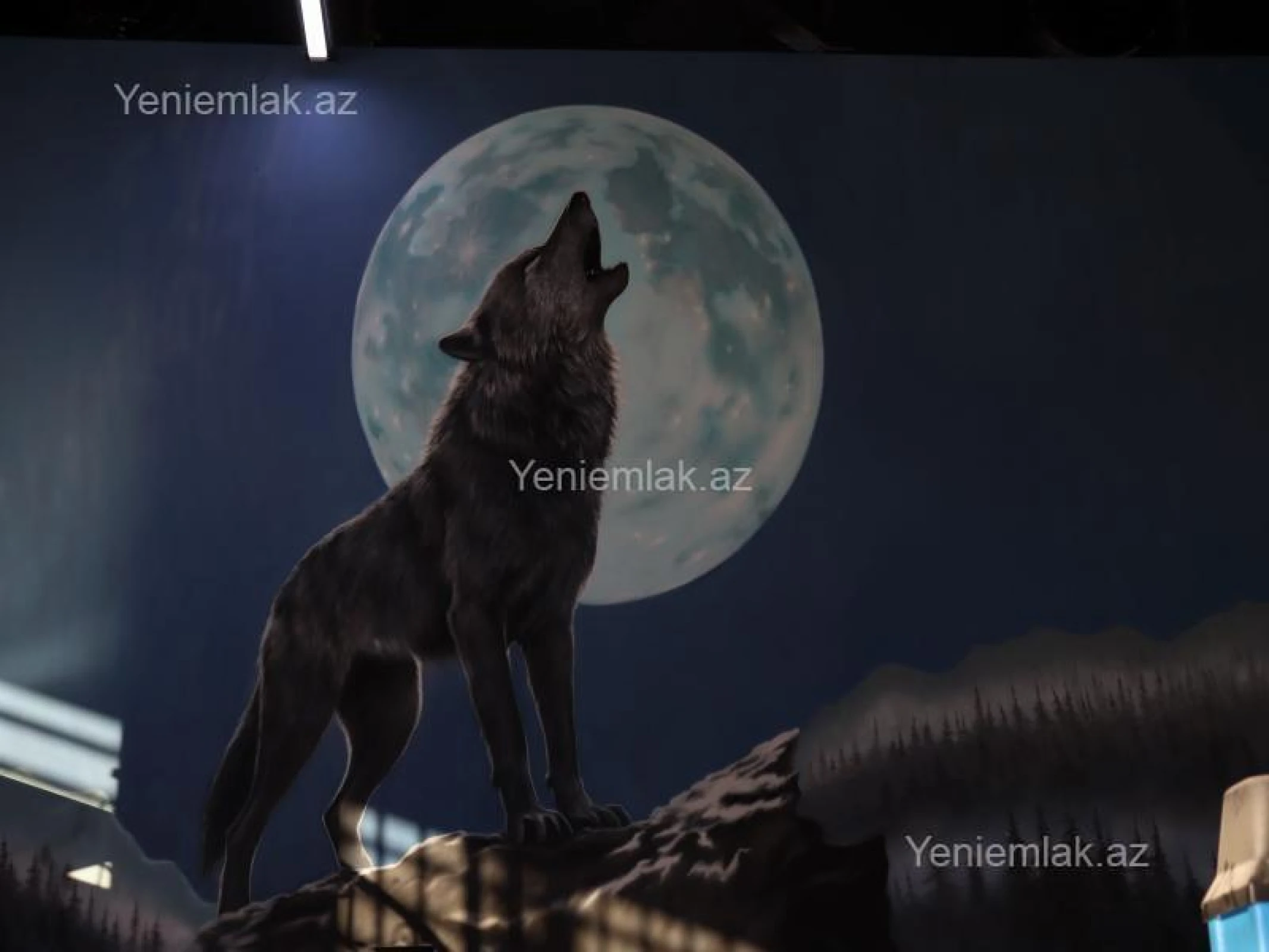 Satılır 15 otaqlı obyekt 3000 m²