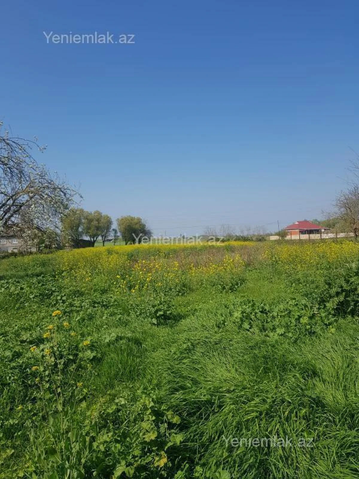 Satılır 5 otaqlı həyət evi 251 m²