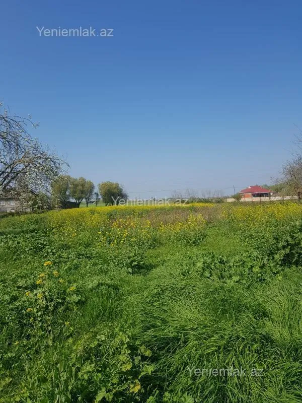 Satılır 5 otaqlı həyət evi 251 m²