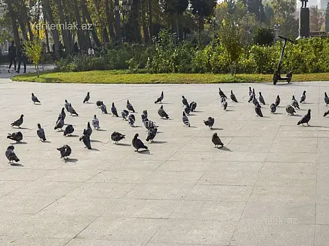 Satılır 3 otaqlı köhnə tikili 85 m²