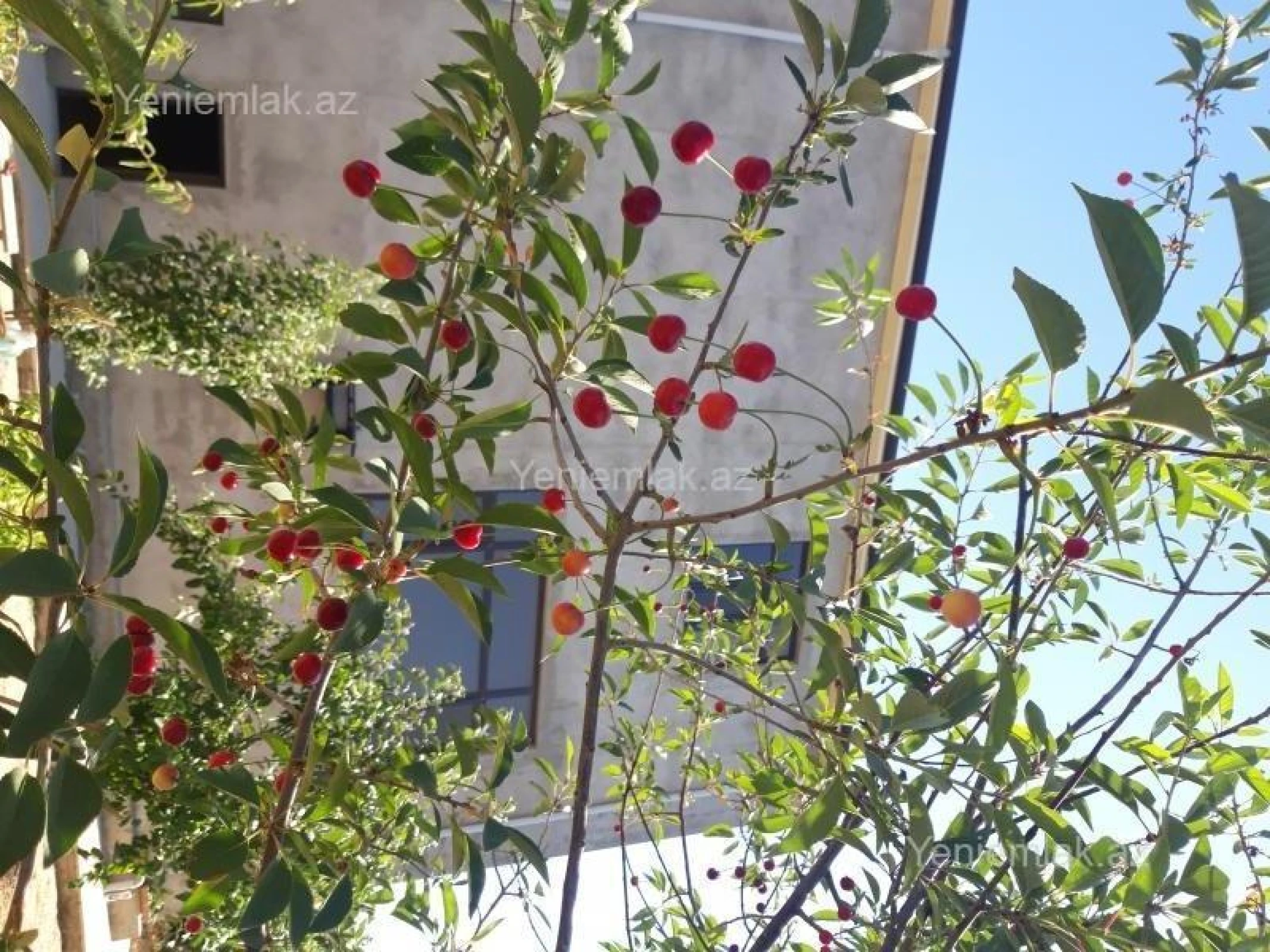 Satılır 6 otaqlı həyət evi 260 m²
