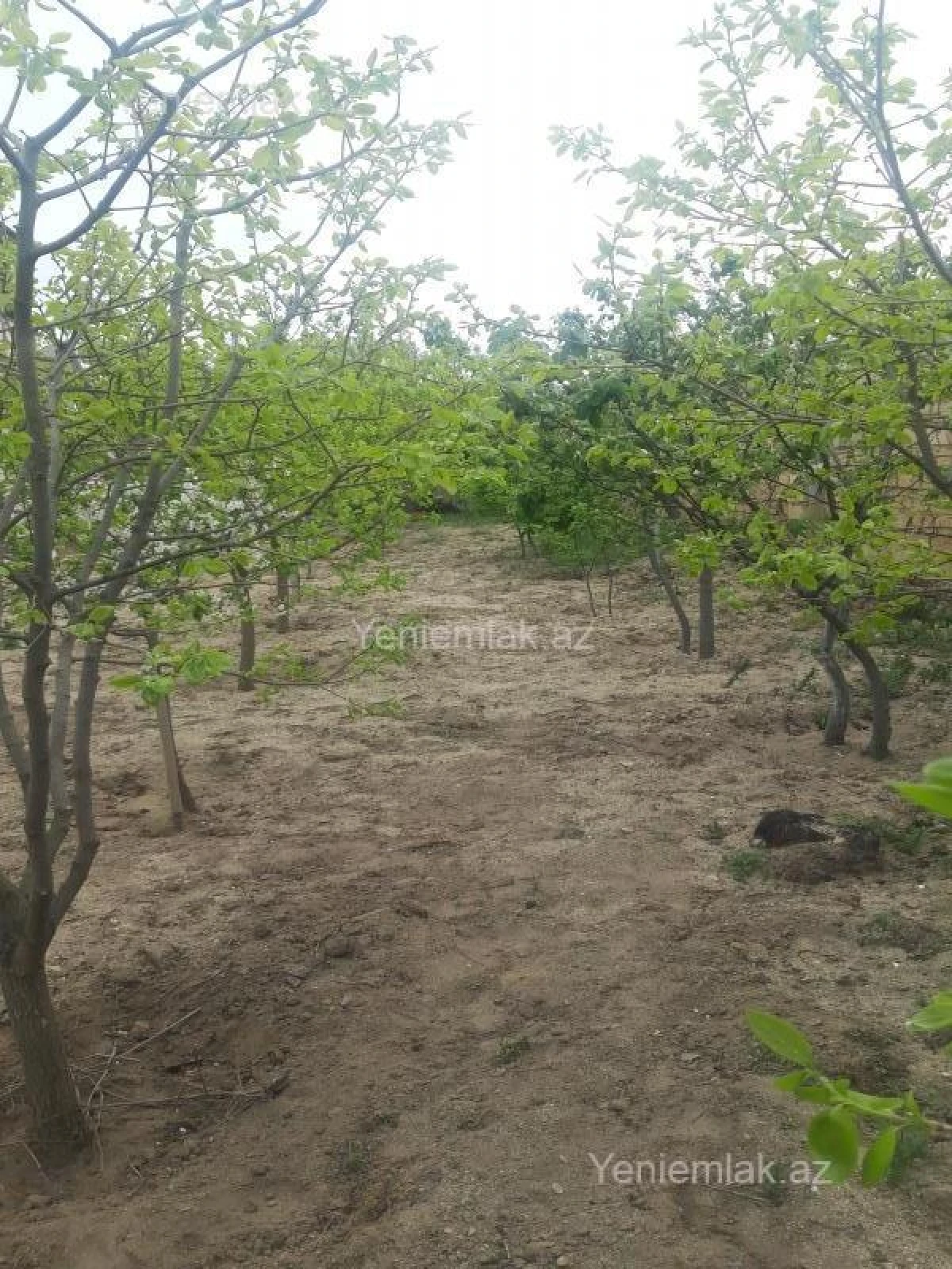 Satılır 6 otaqlı həyət evi 260 m²